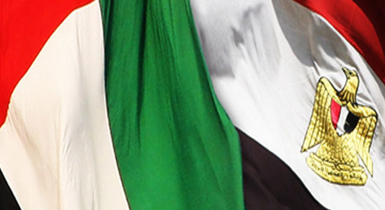 رويترز: الإمارات تزود مصر بمواد بترولية بقيمة 8.7 مليار دولار