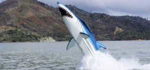 معرض لألعاب الكبار في دبي ويتوقع أن يستقطب 40 ألف زائر.. ويعرض زوارق القرش و الحوت