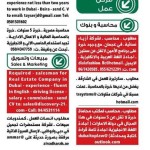 وظائف شاغرة بالامارات 17