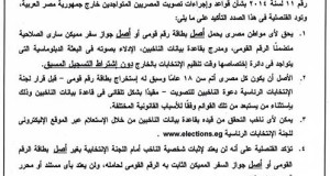 إعلان إجراءات وقواعد تصويت المصريين بالخارج فى إنتخابات رئاسة الجمهورية 2014
