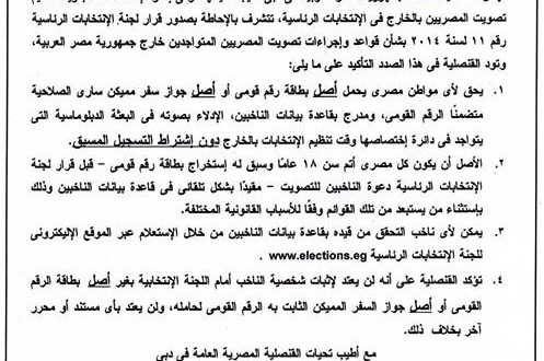 إعلان إجراءات وقواعد تصويت المصريين بالخارج فى إنتخابات رئاسة الجمهورية 2014